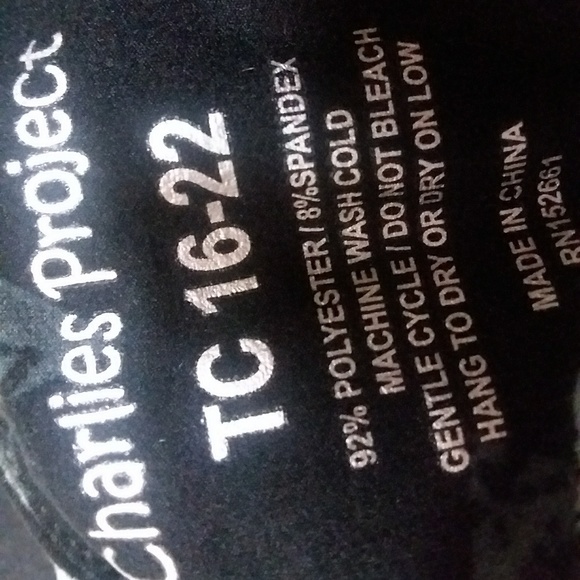 Charlie Project - Picture 3 of 6